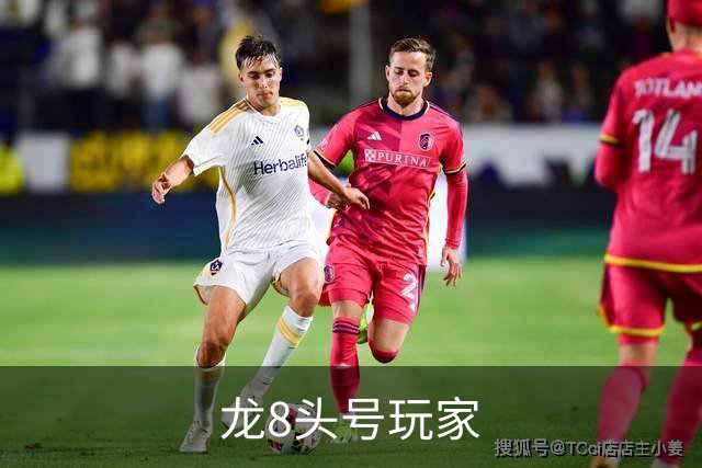 龙8头号玩家公司简介
